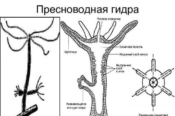 Кракен маркетплейс зеркало