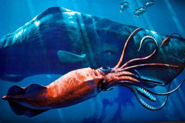 Kraken tor onion зеркало