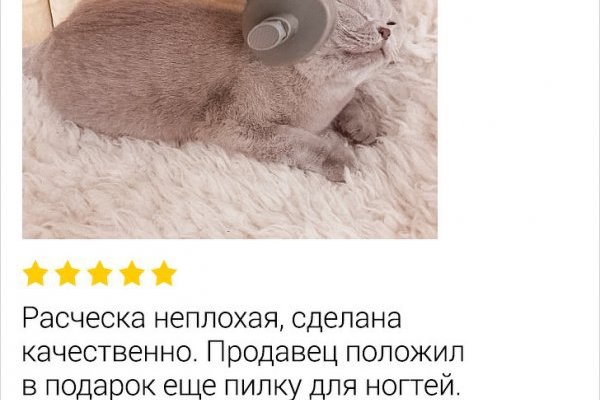 Кракен даркнет только через