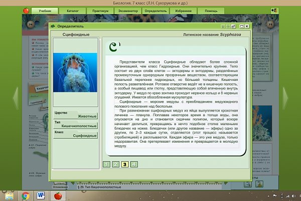 Дарк нет вход