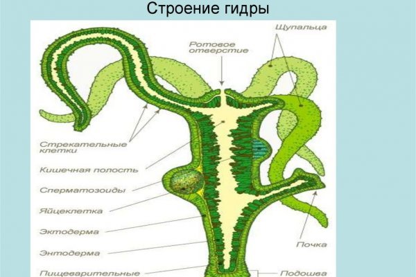Кракен маркетплейс что там